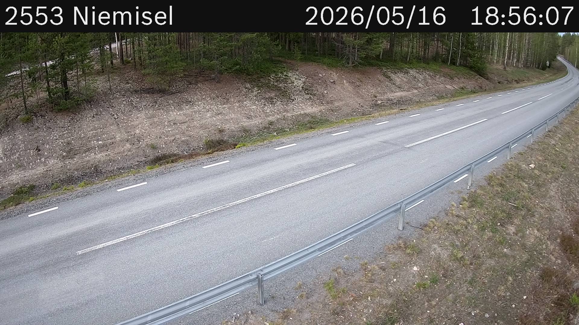 Niemisel