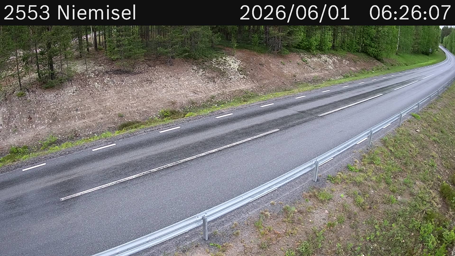 Niemisel