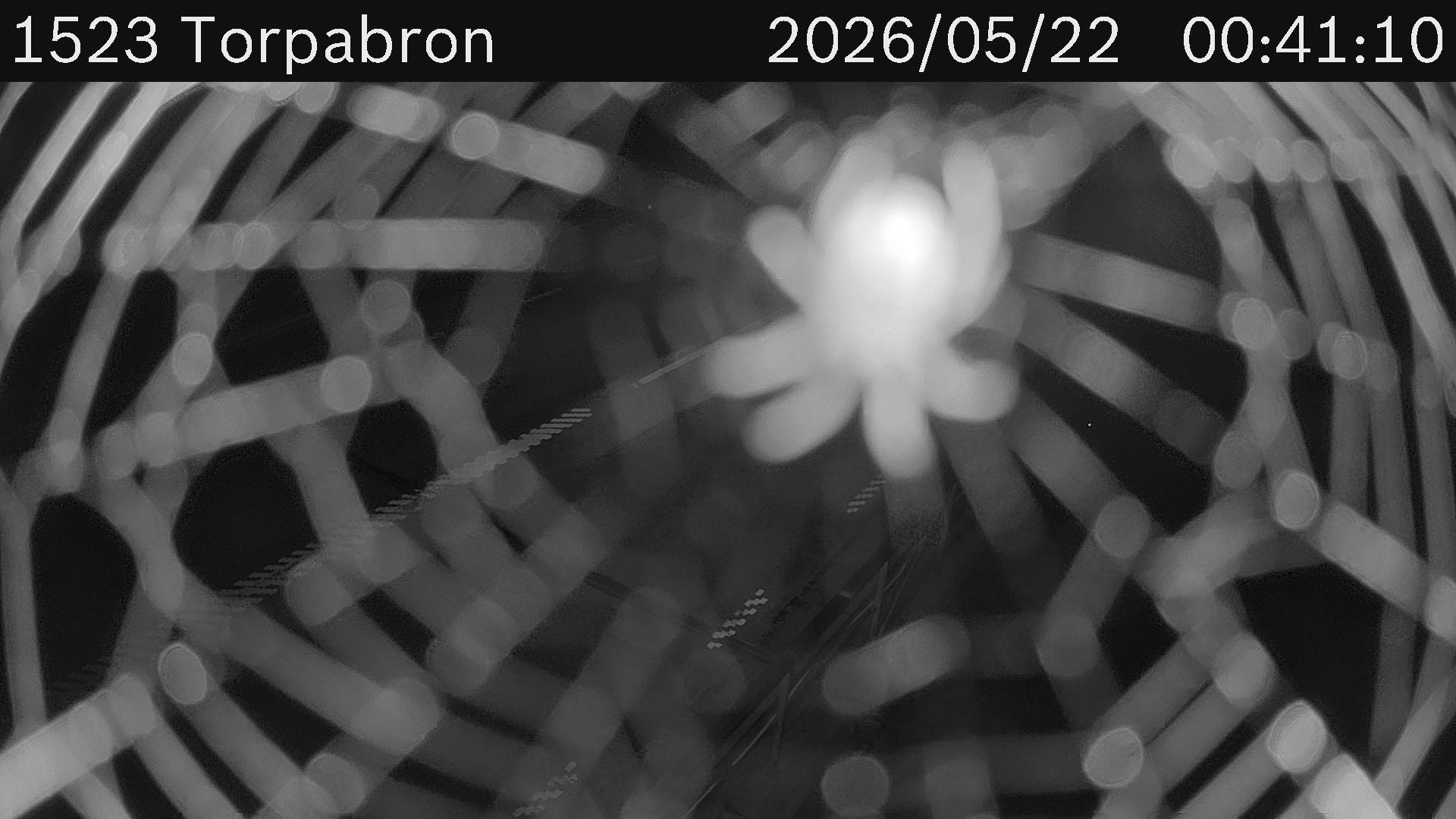 Torpabron
