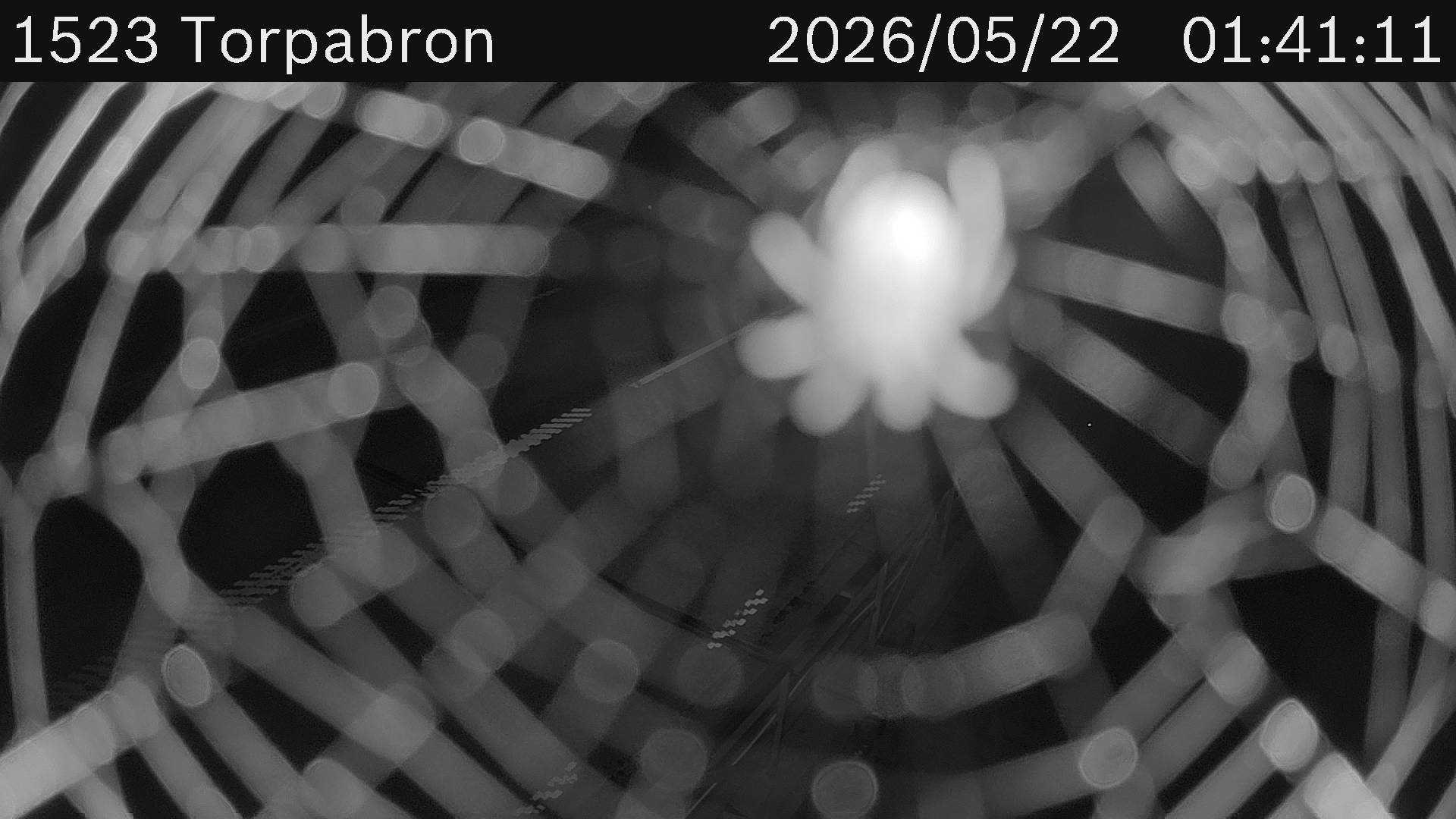 Torpabron