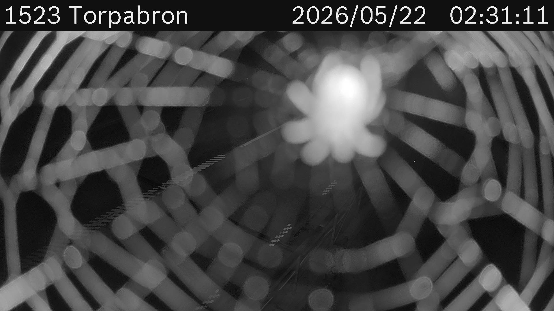 Torpabron