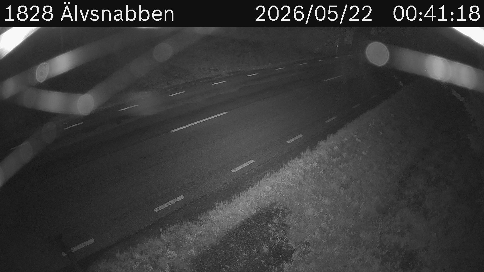 Älvsnabben