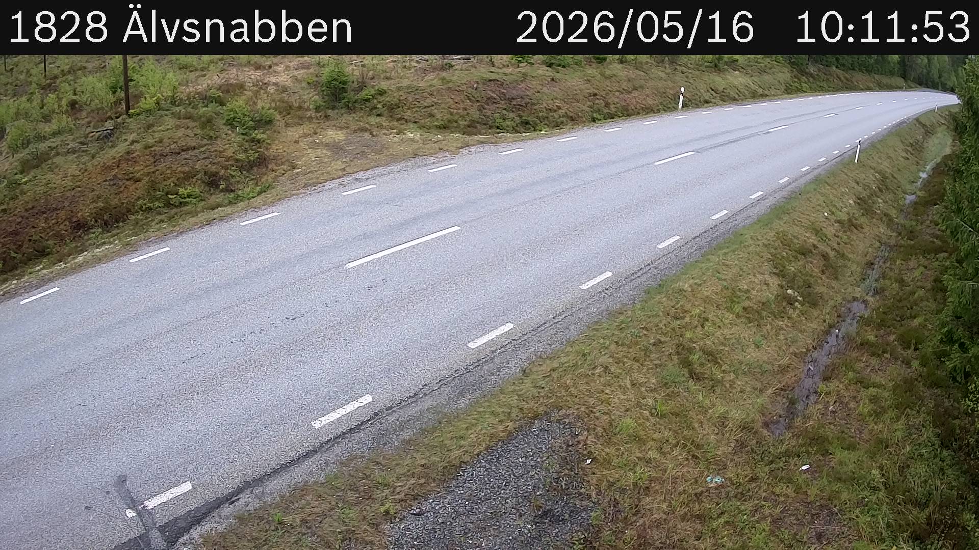 Älvsnabben