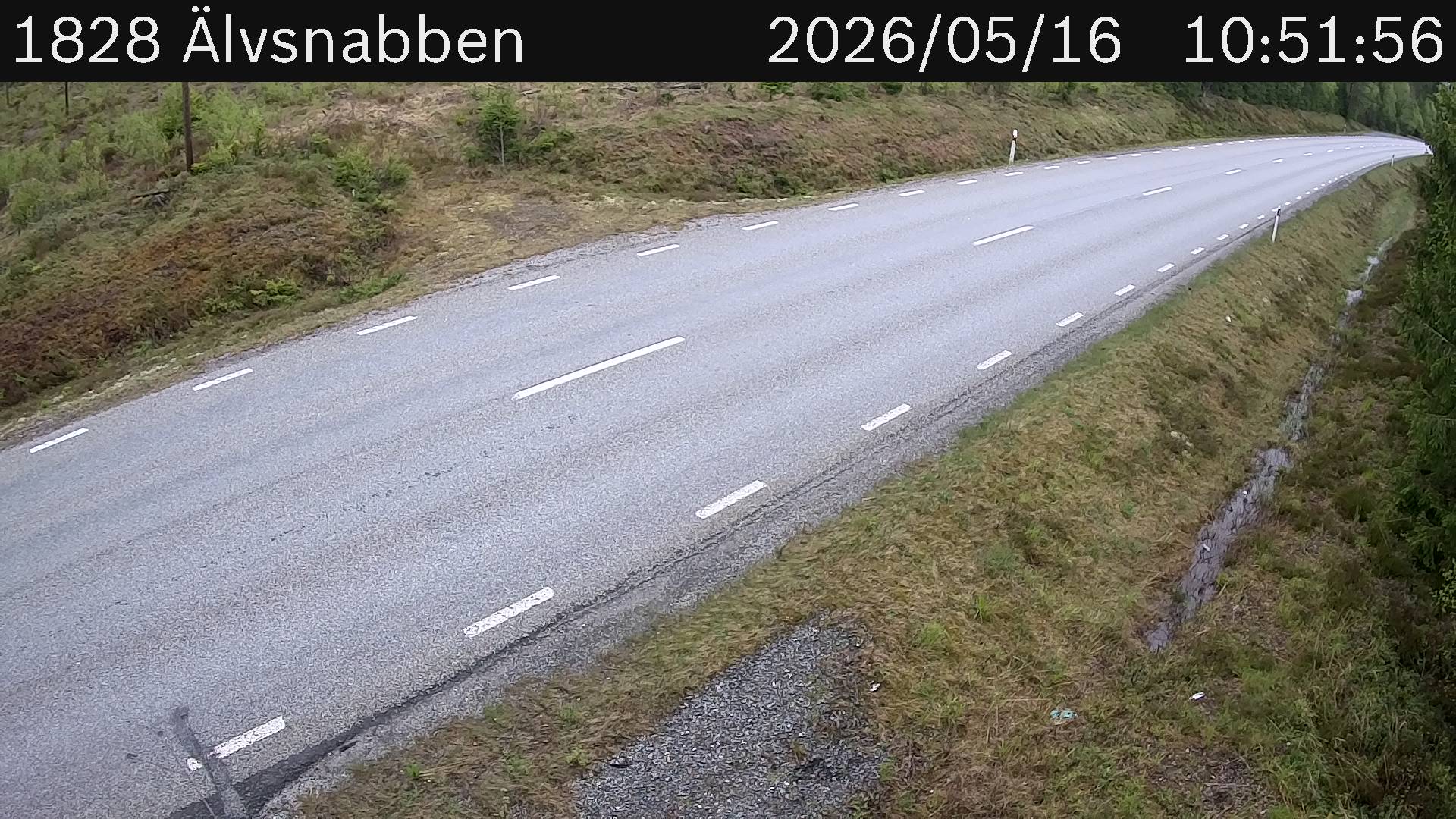 Älvsnabben