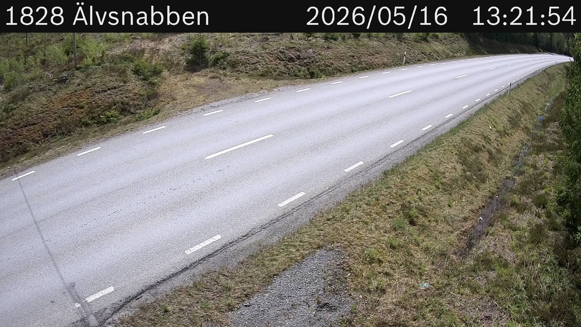Älvsnabben