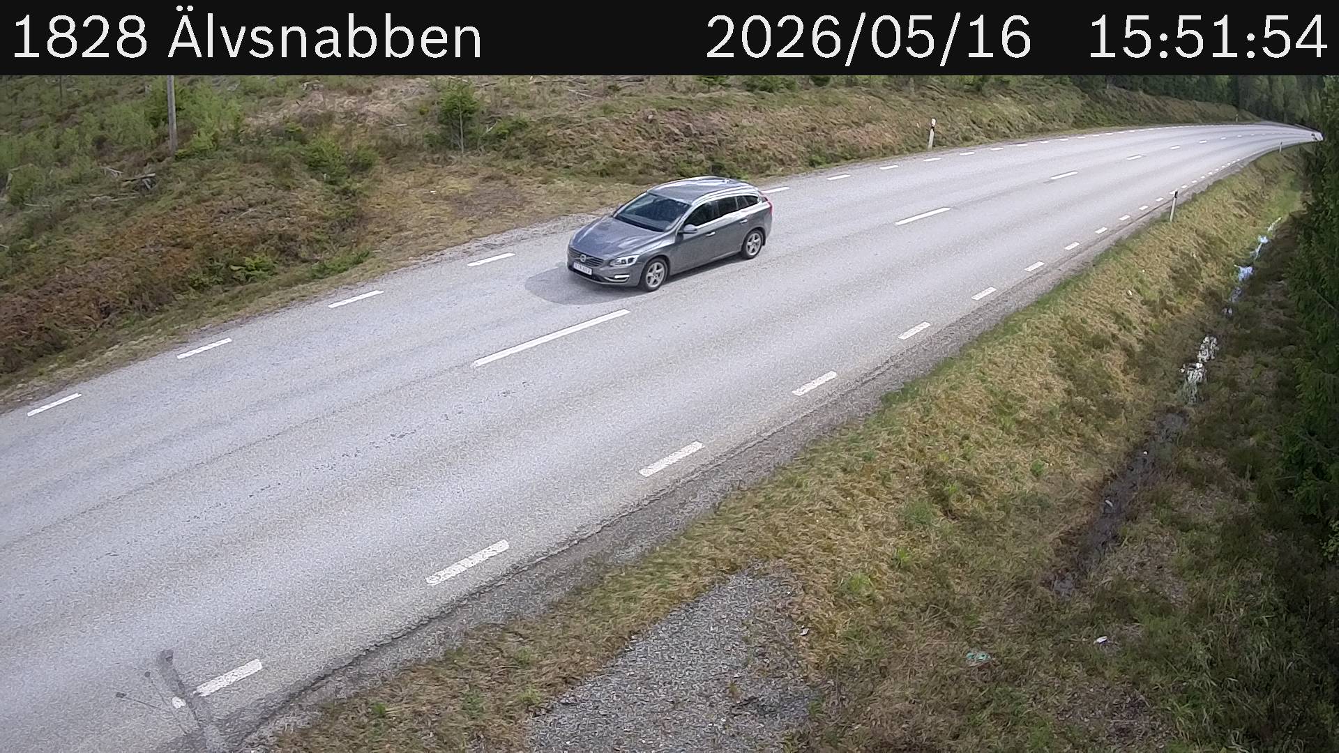 Älvsnabben