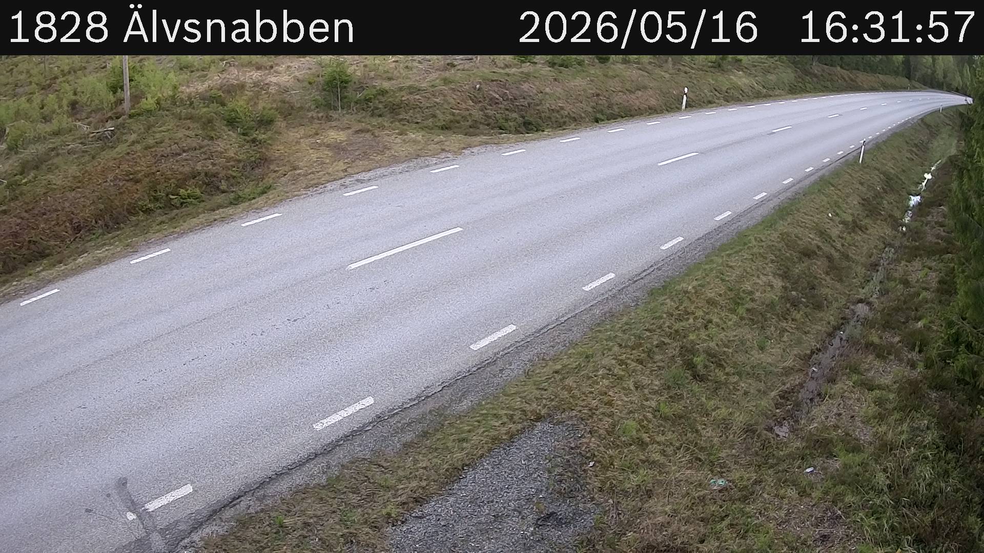 Älvsnabben