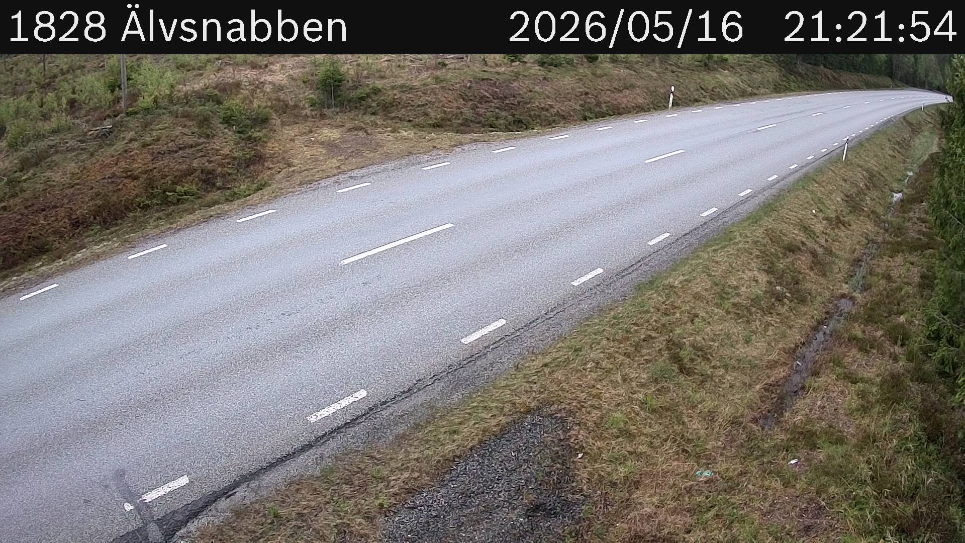 Älvsnabben