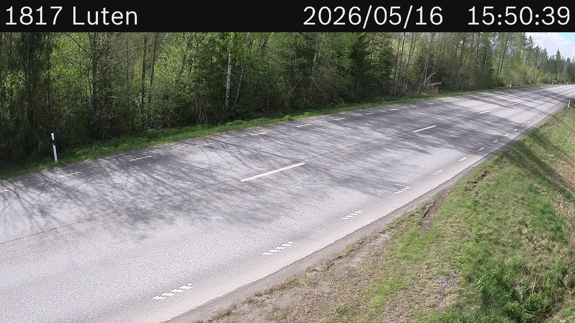 Luten