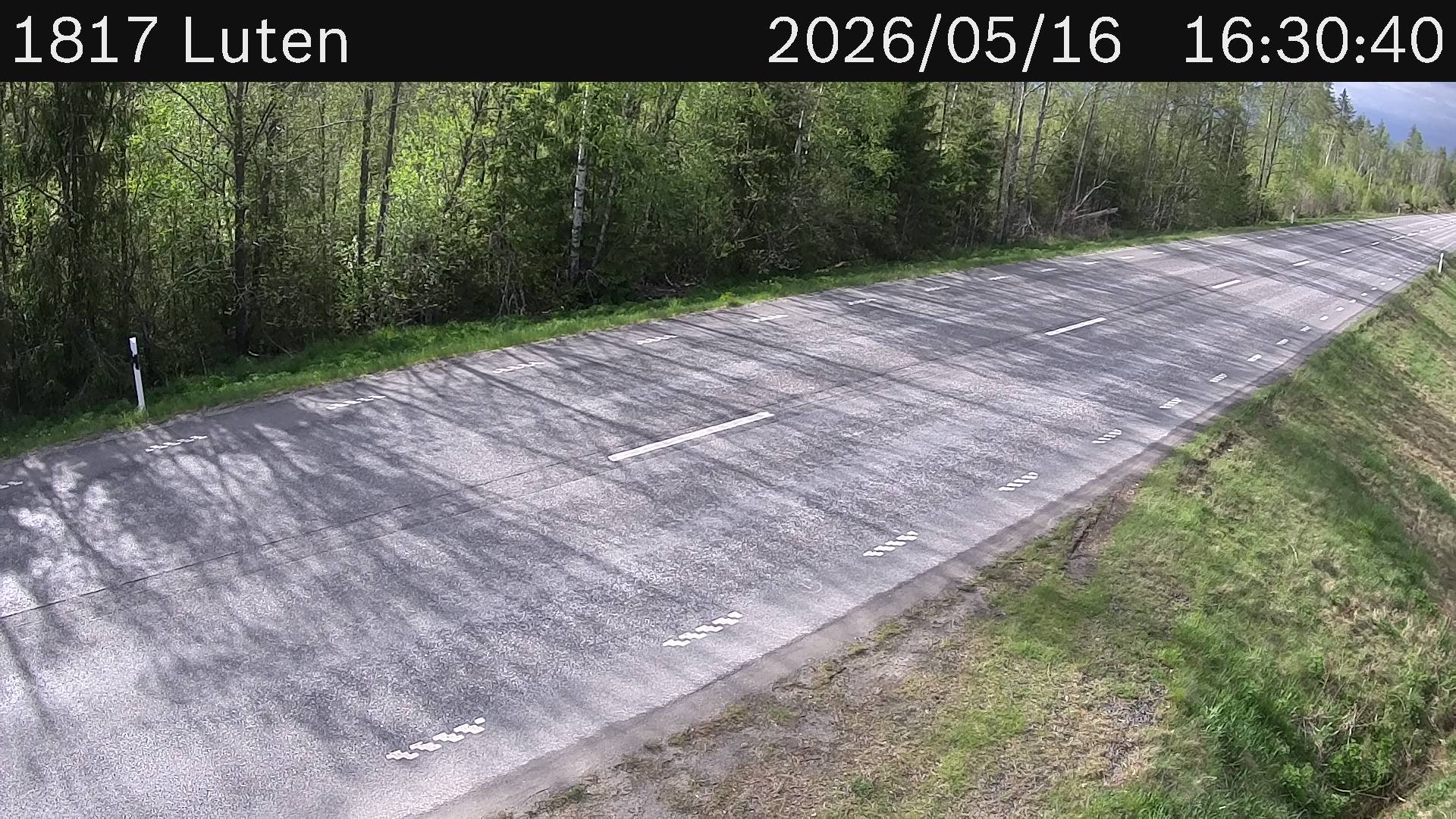 Luten