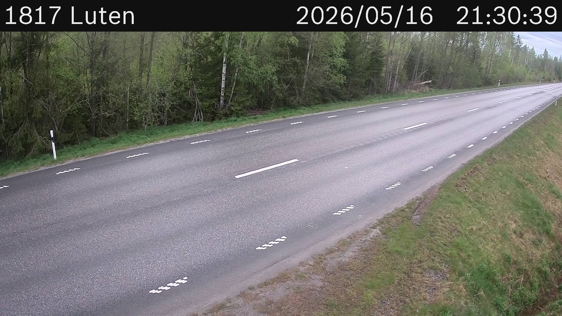 Luten