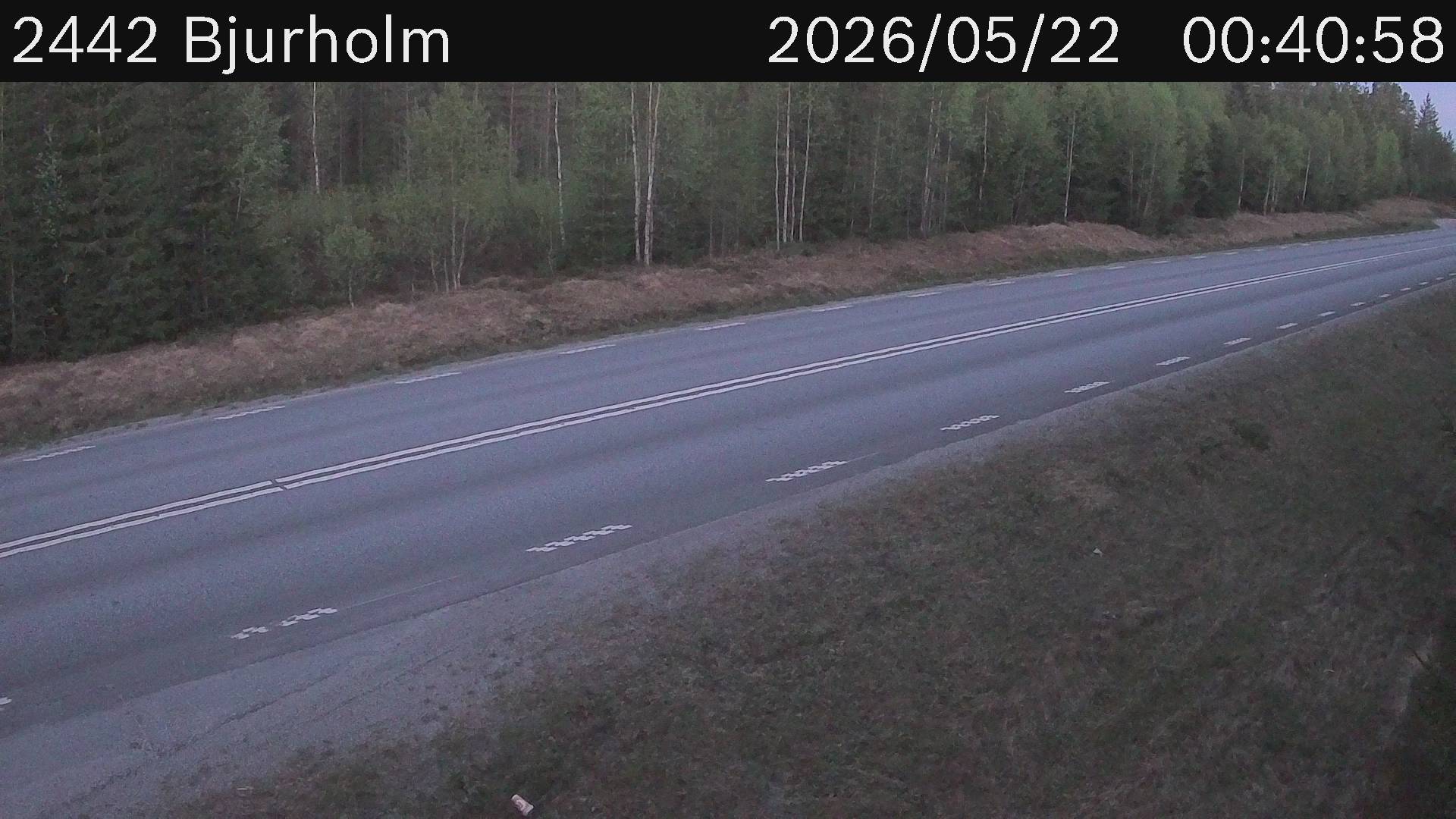 Bjurholm