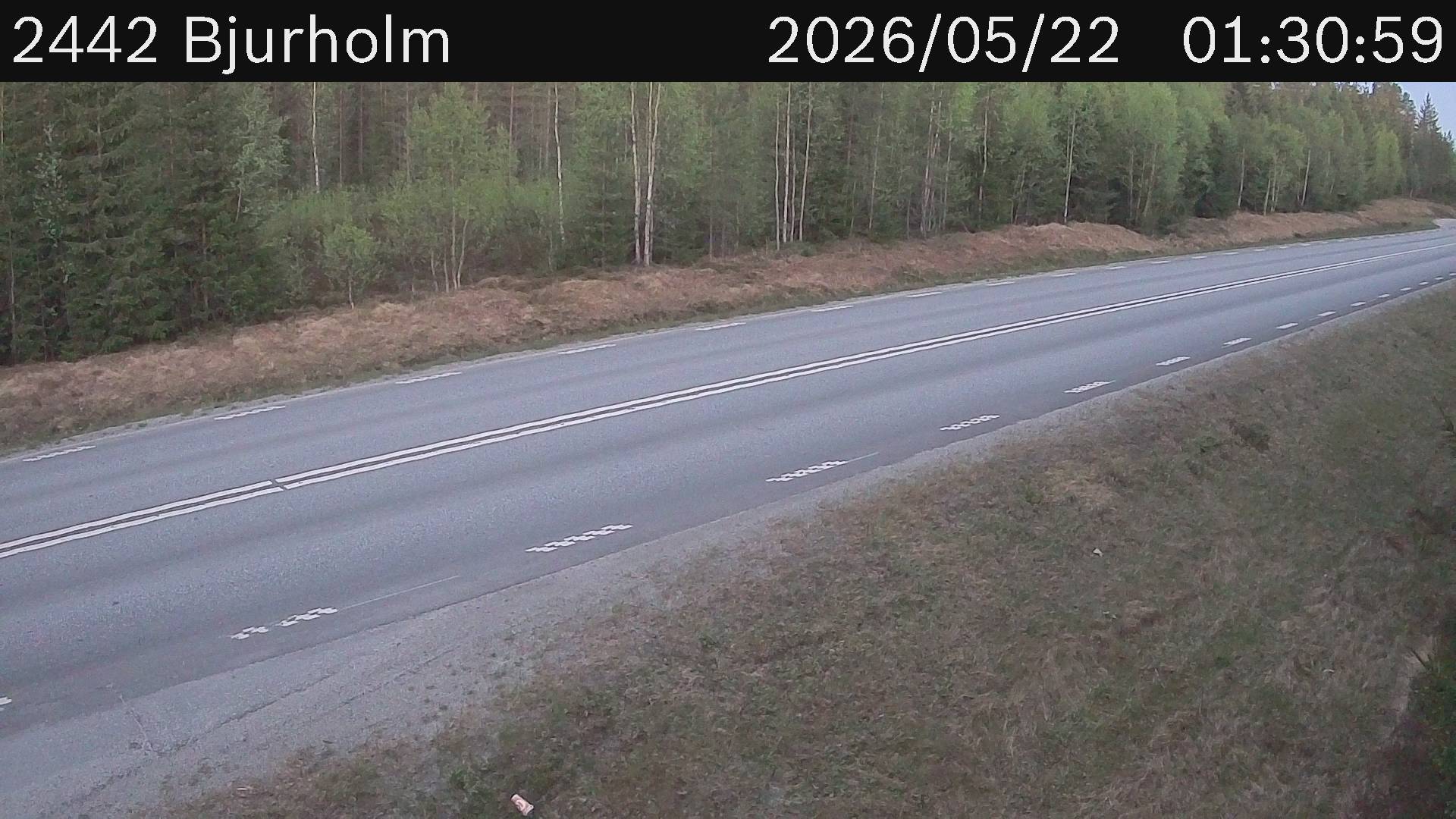 Bjurholm