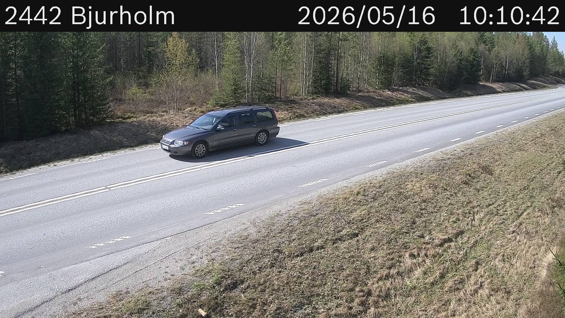 Bjurholm