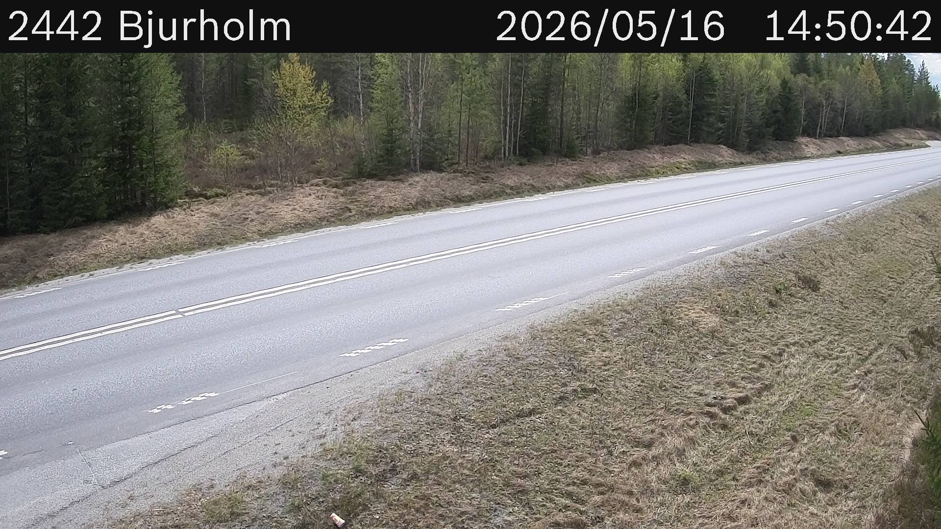 Bjurholm