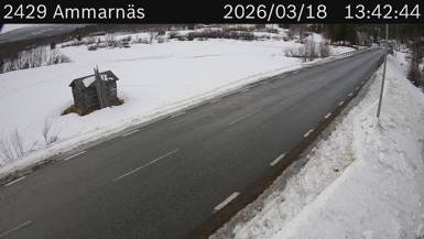 Vägkamera Ammarnäs — väglag i Norrbotten