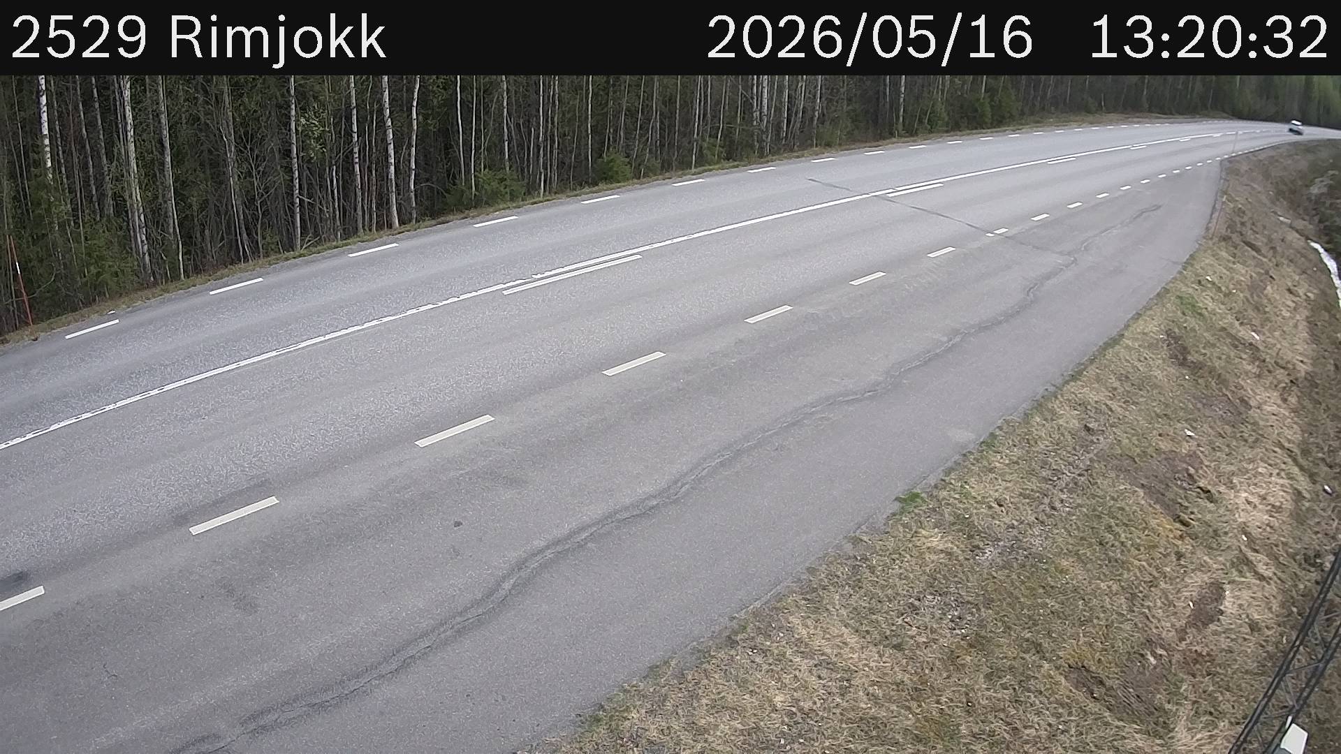 Rimjokk