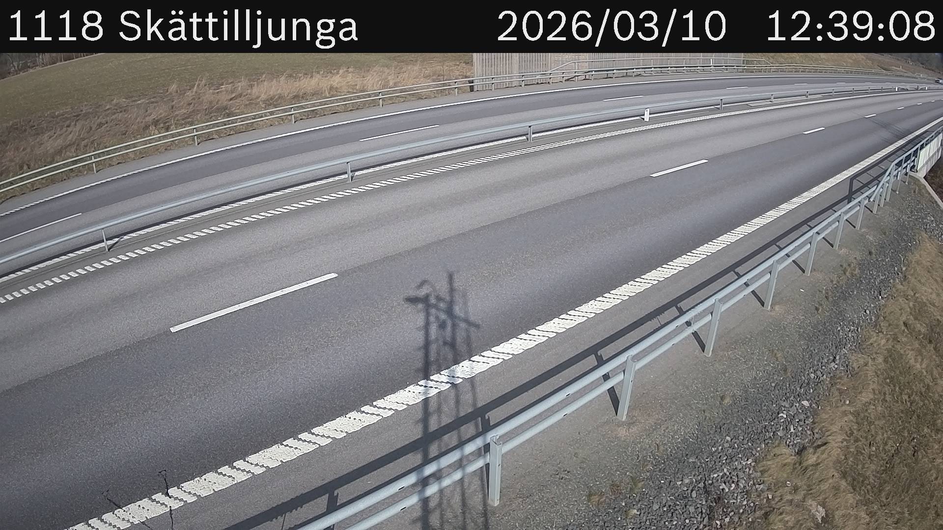 Skättilljunga