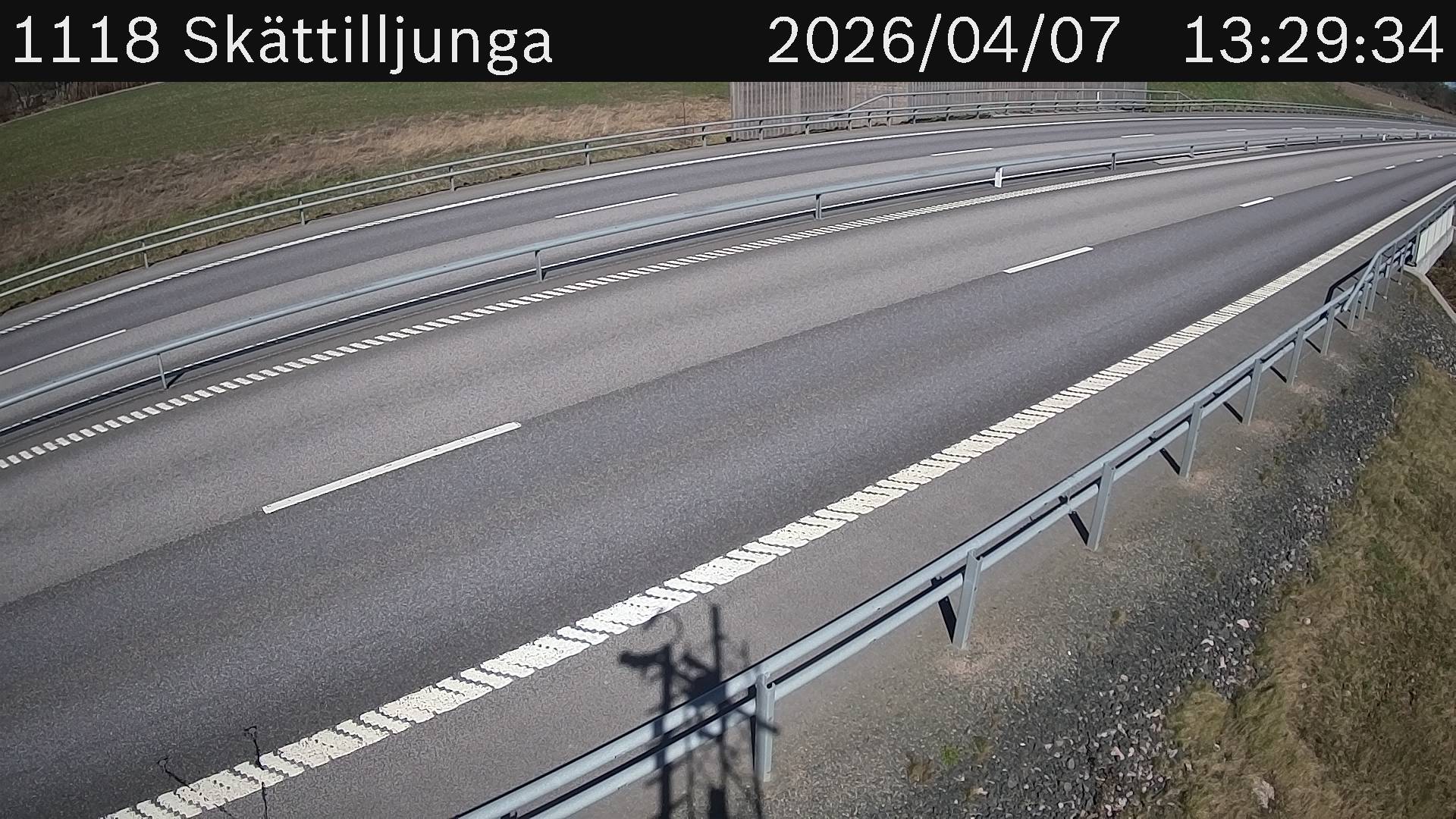 Skättilljunga