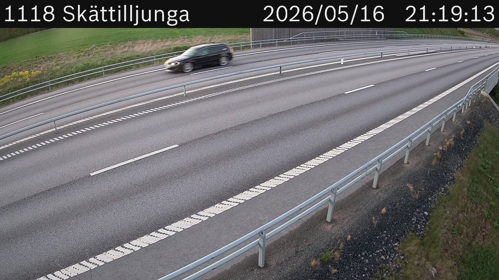 Skättilljunga