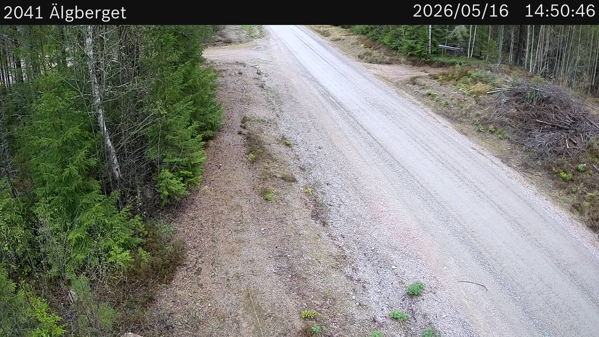 Älgberget