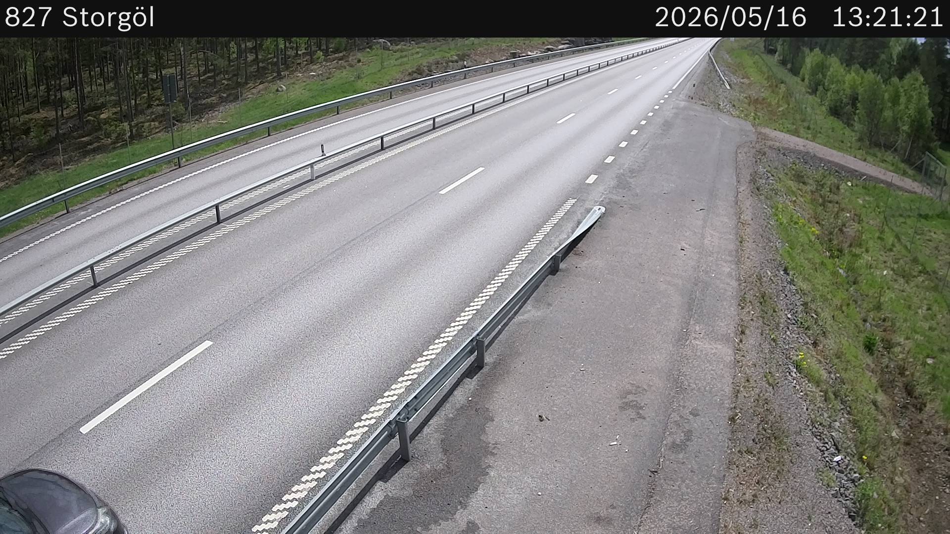 Storgöl