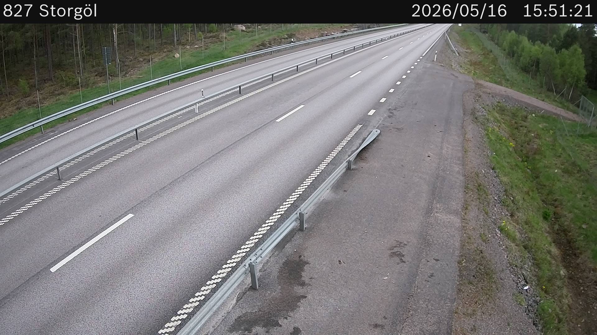 Storgöl