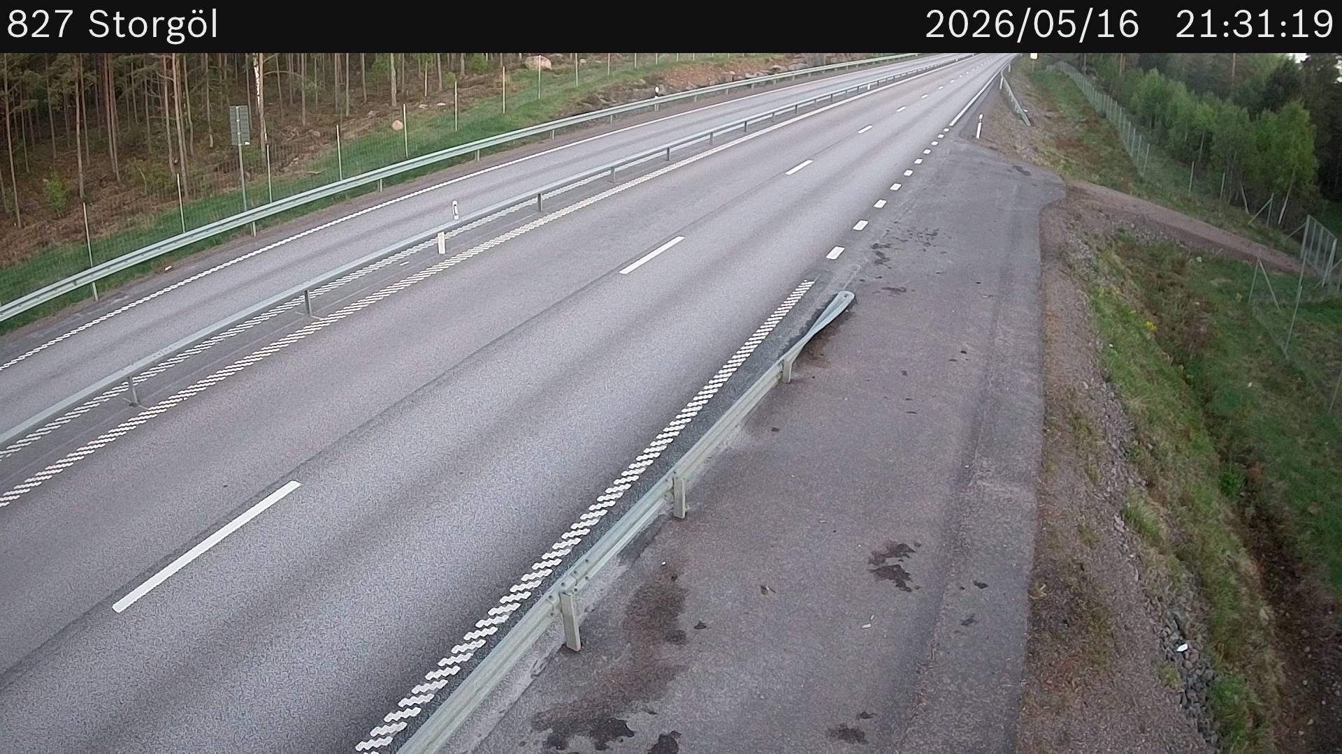 Storgöl