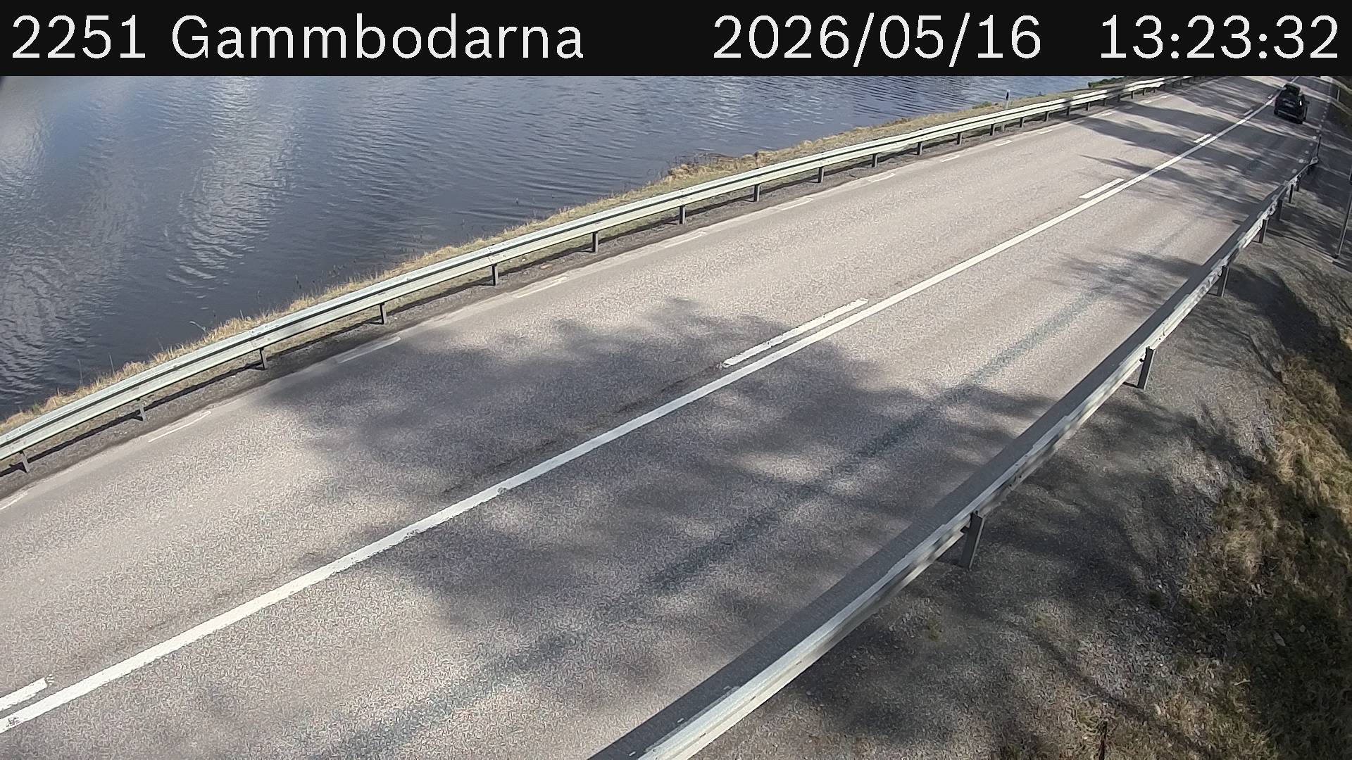 Gammbodarna