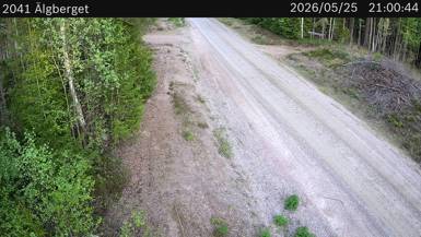 Vägkamera Älgberget — väglag i Dalarna