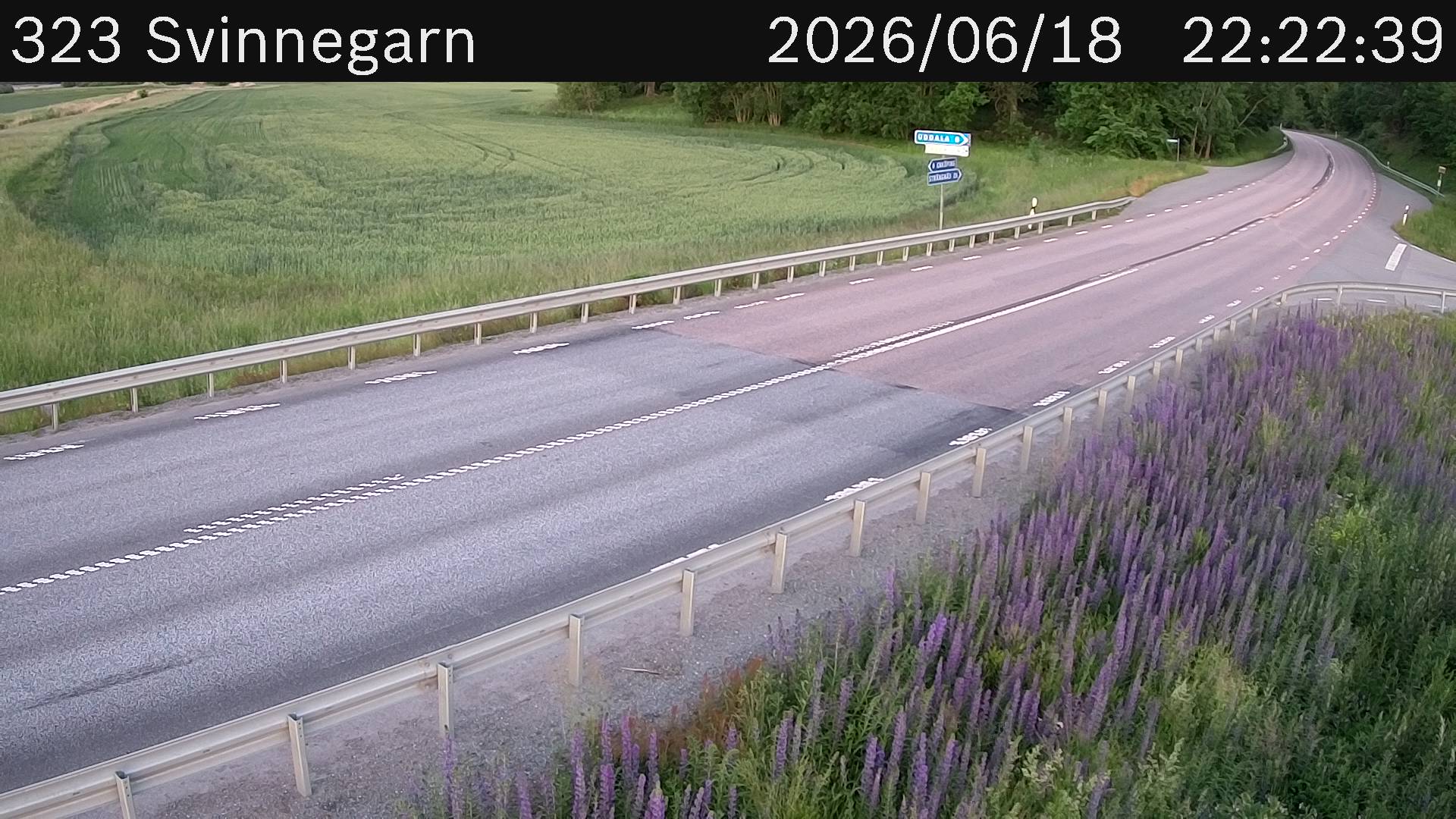Svinnegarn