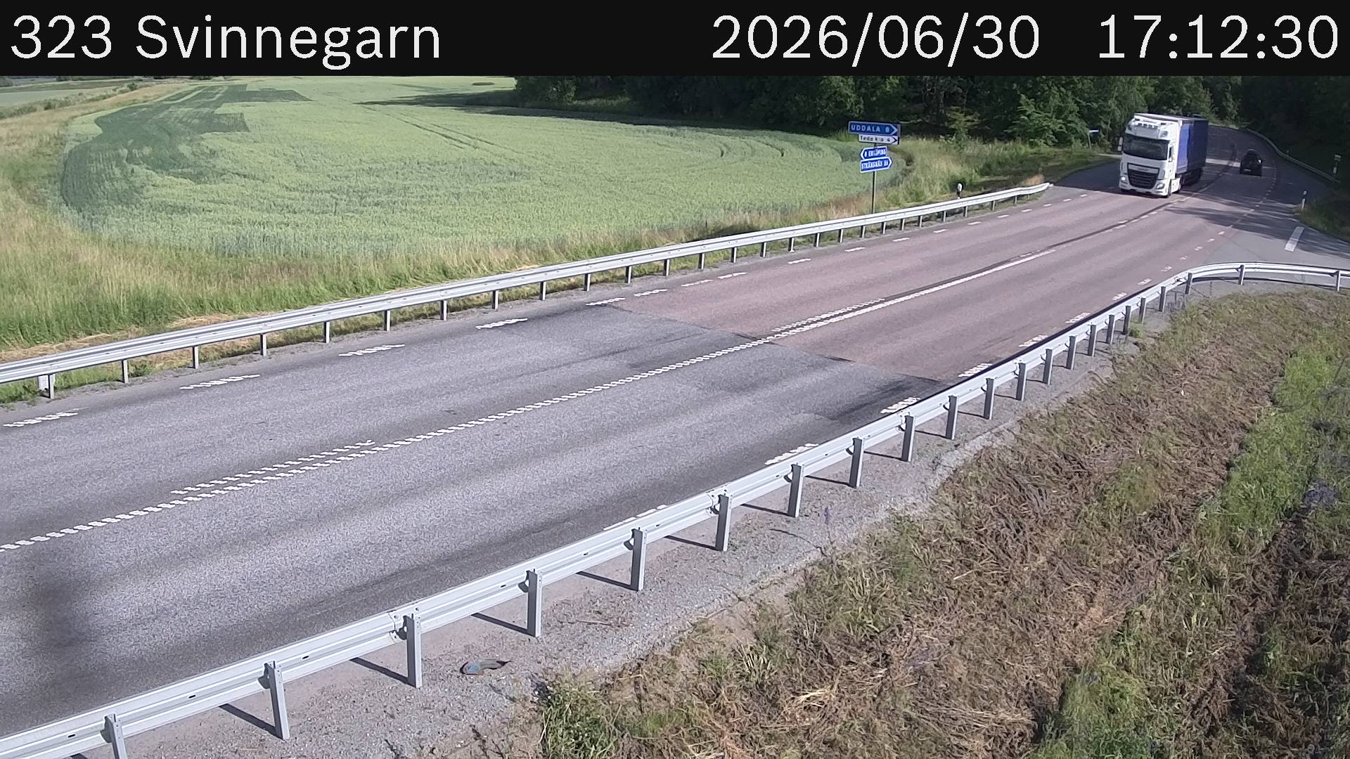 Svinnegarn