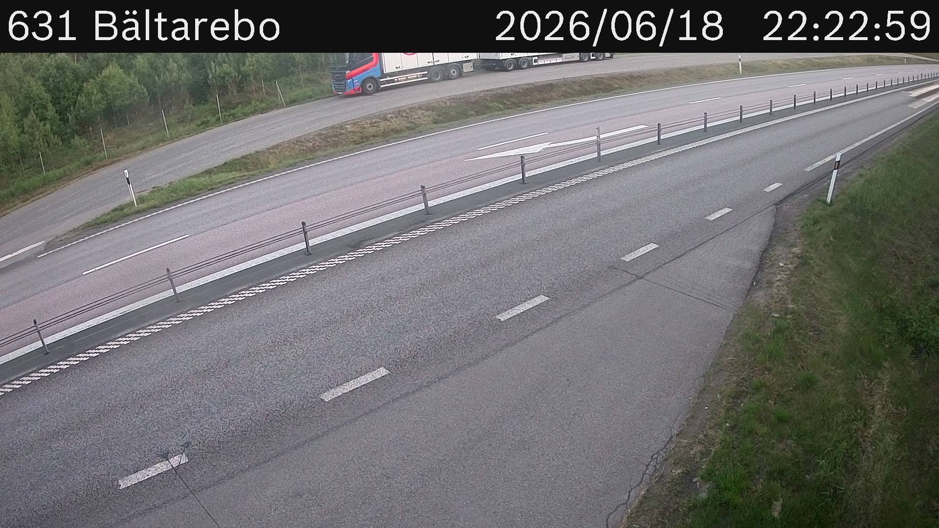 Bältarebo