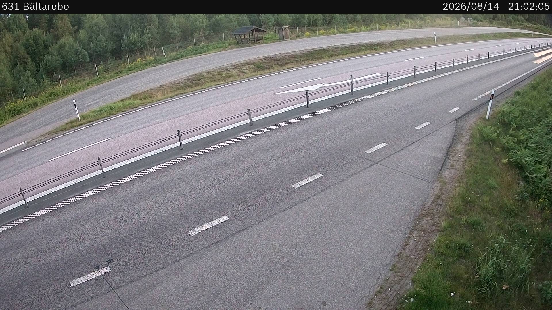 Bältarebo