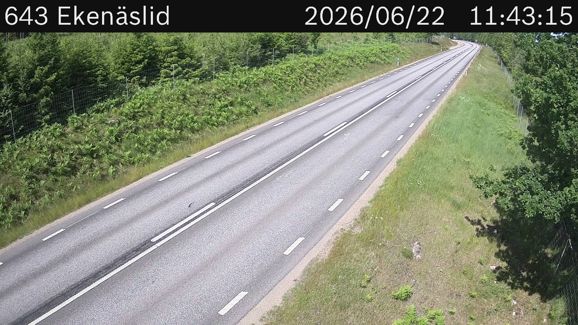 Ekenäslid