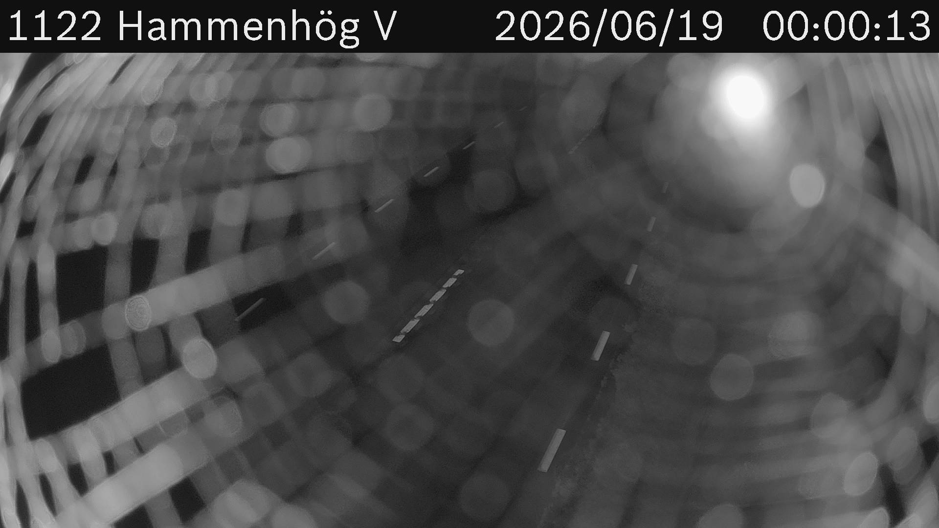 Hammenhög V