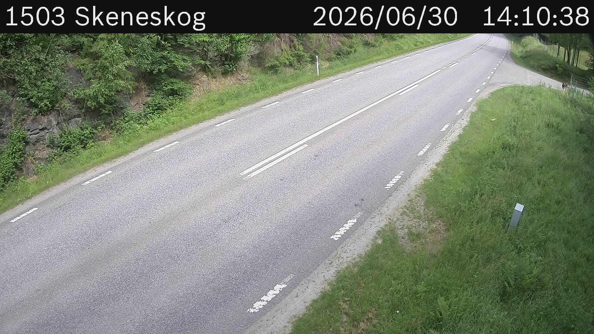 Skeneskog