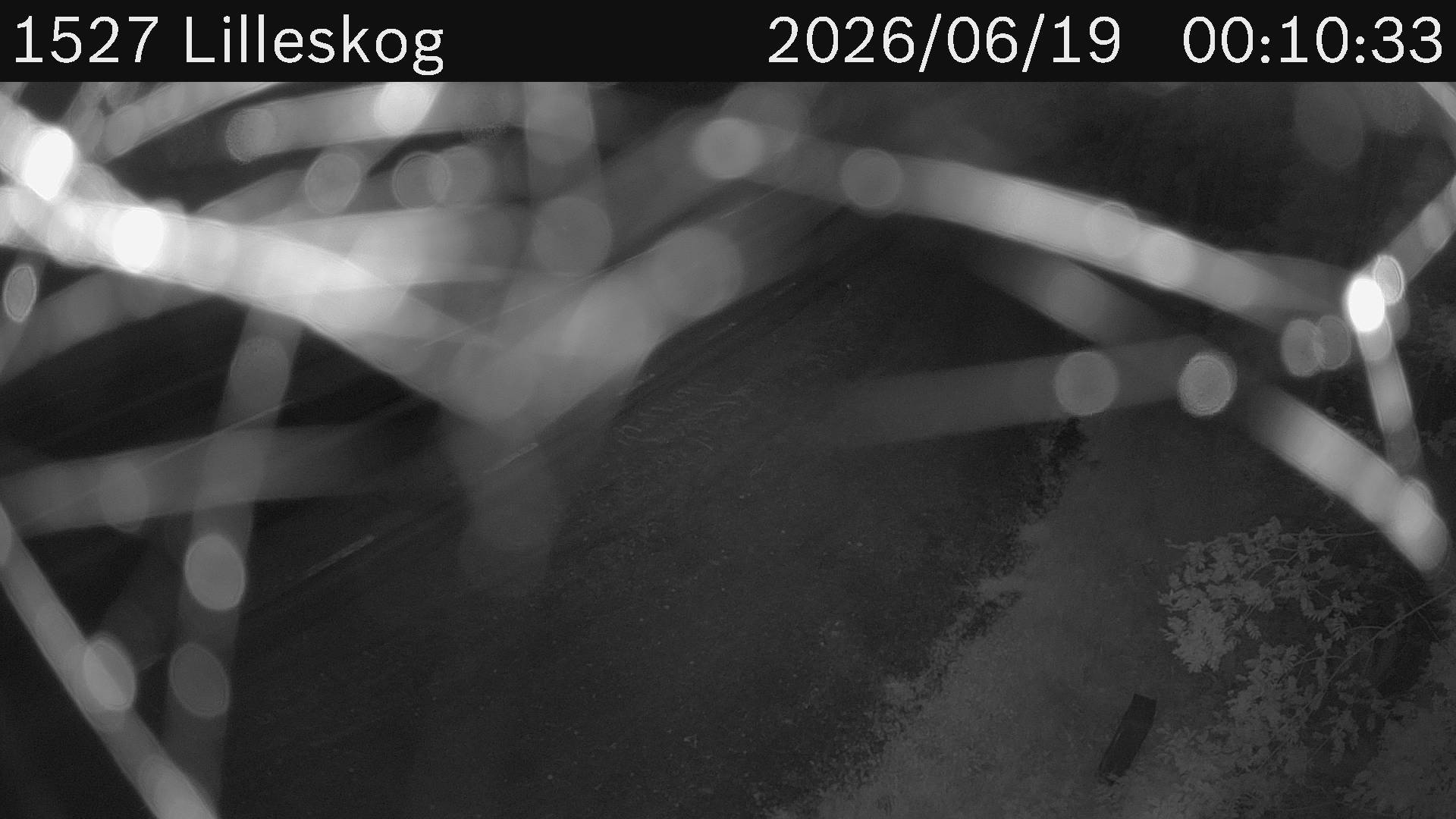 Lilleskog