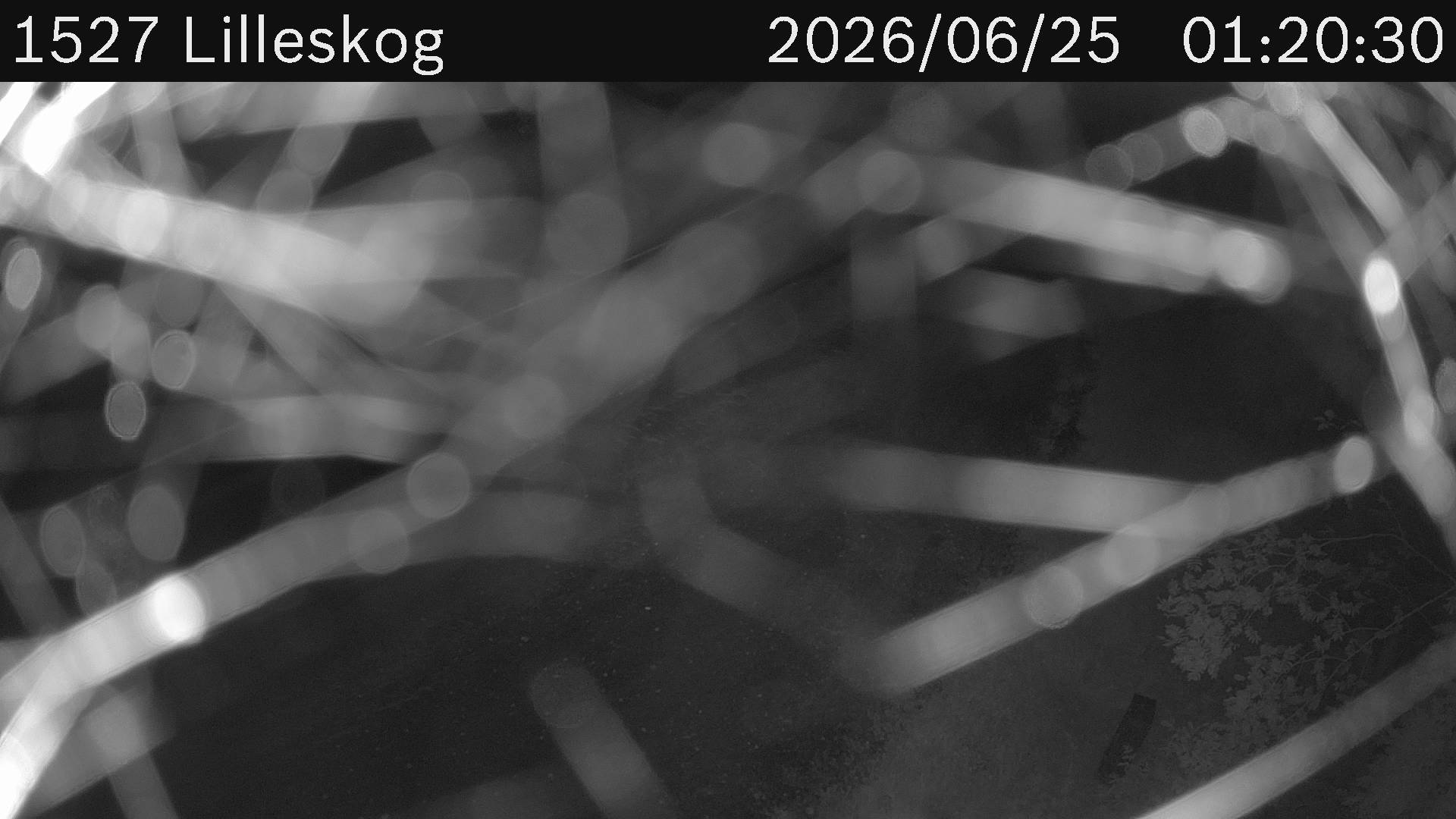 Lilleskog
