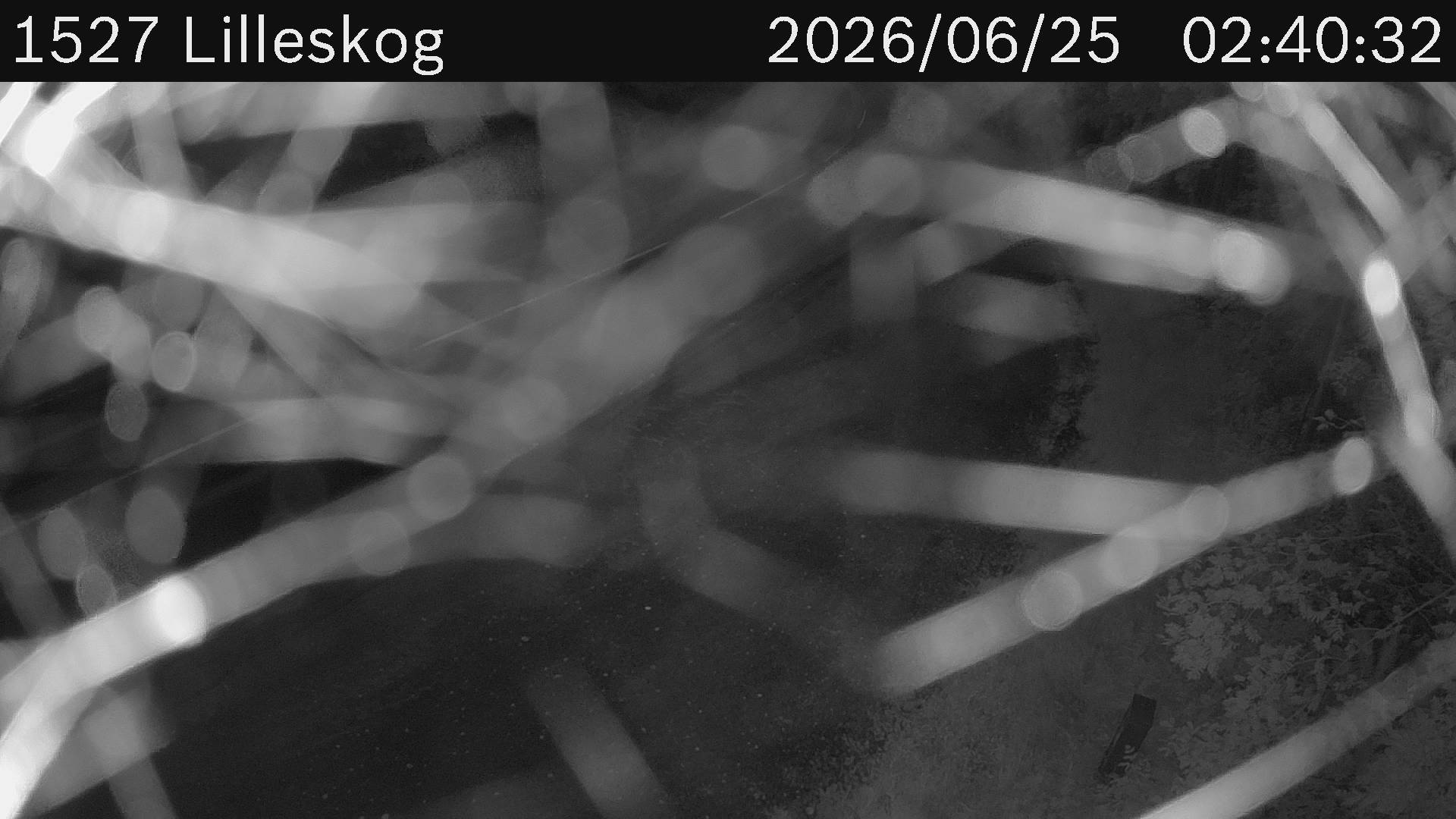 Lilleskog