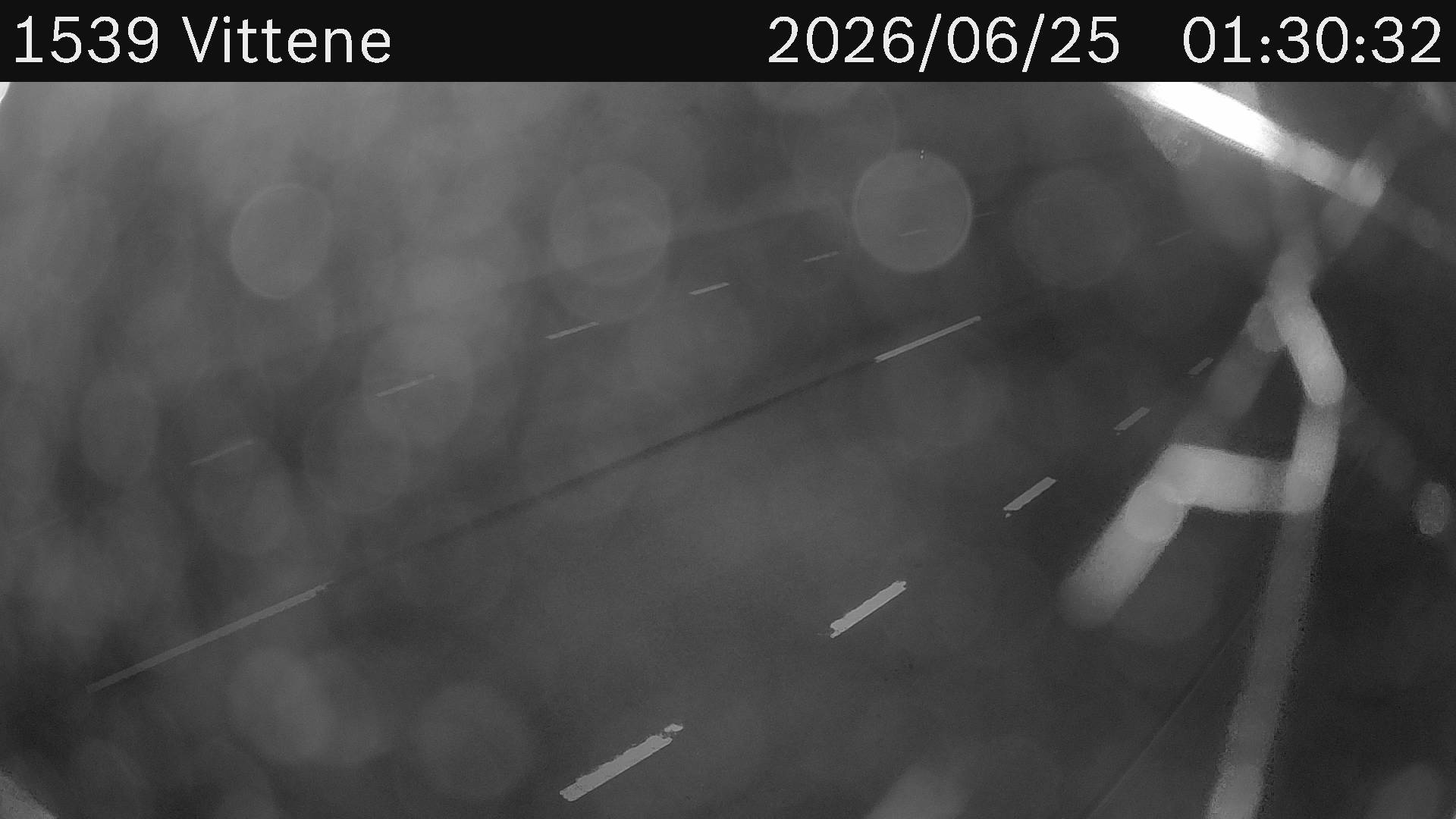 Vittene