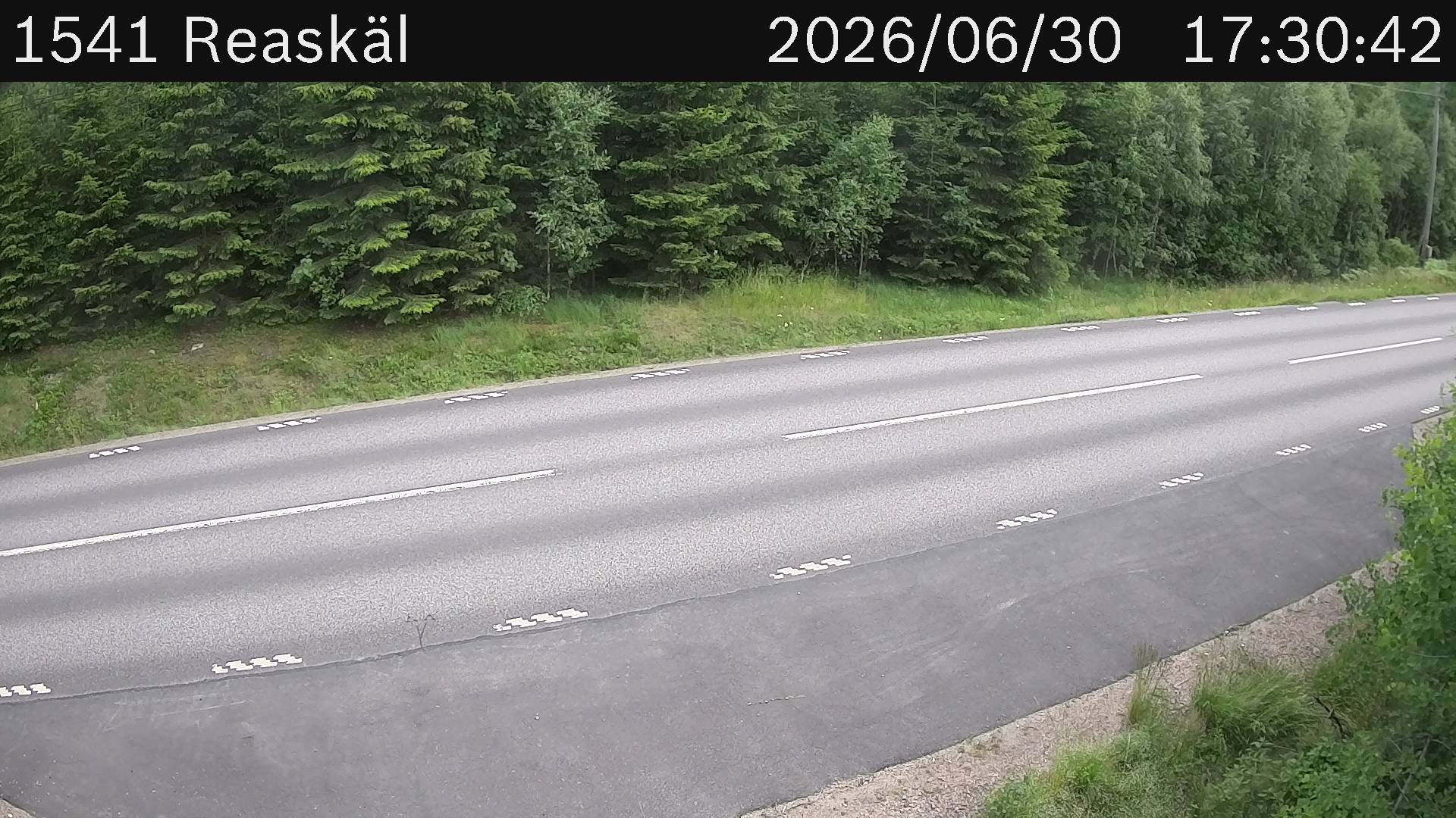 Reaskäl