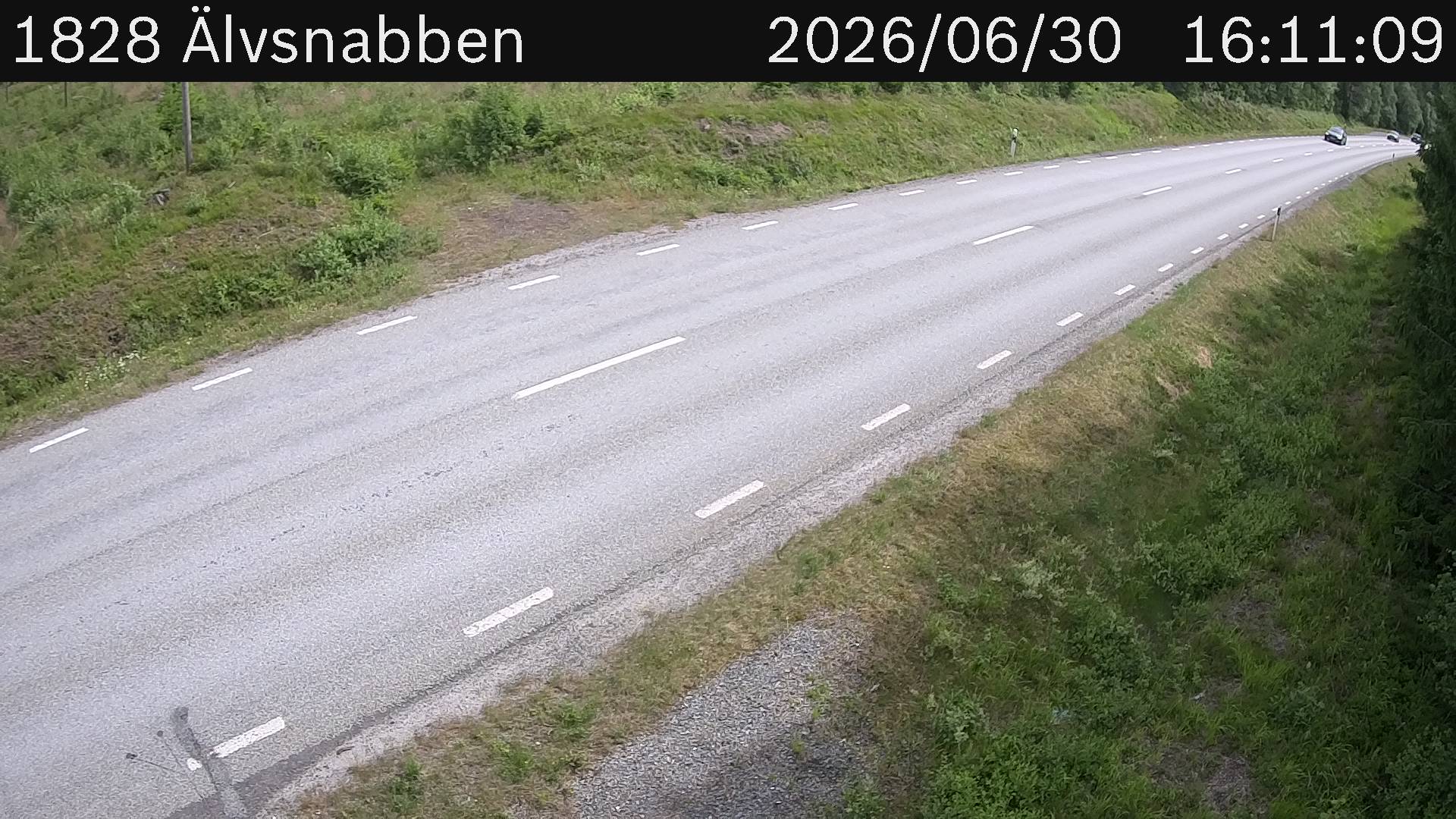 Älvsnabben