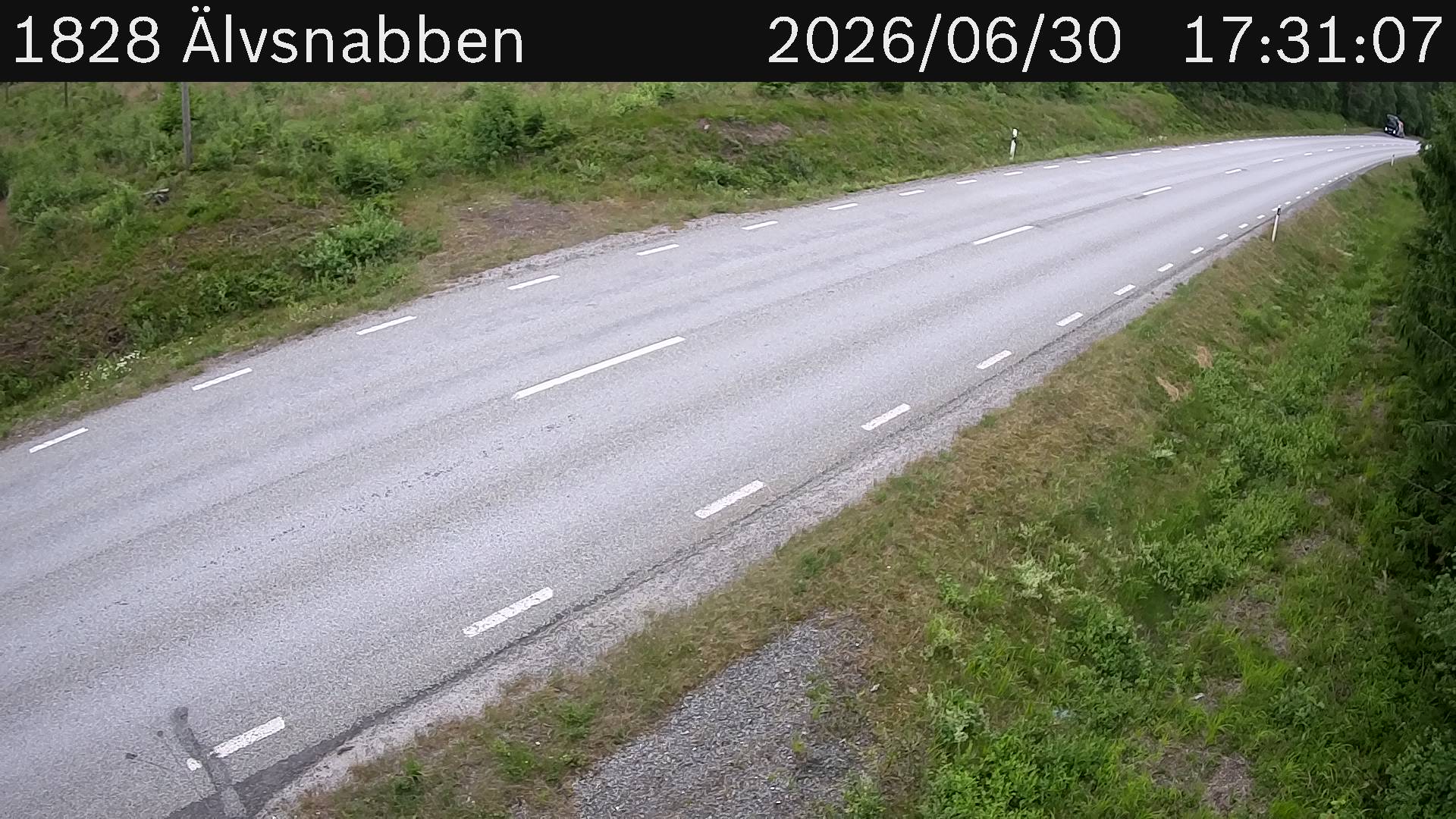 Älvsnabben