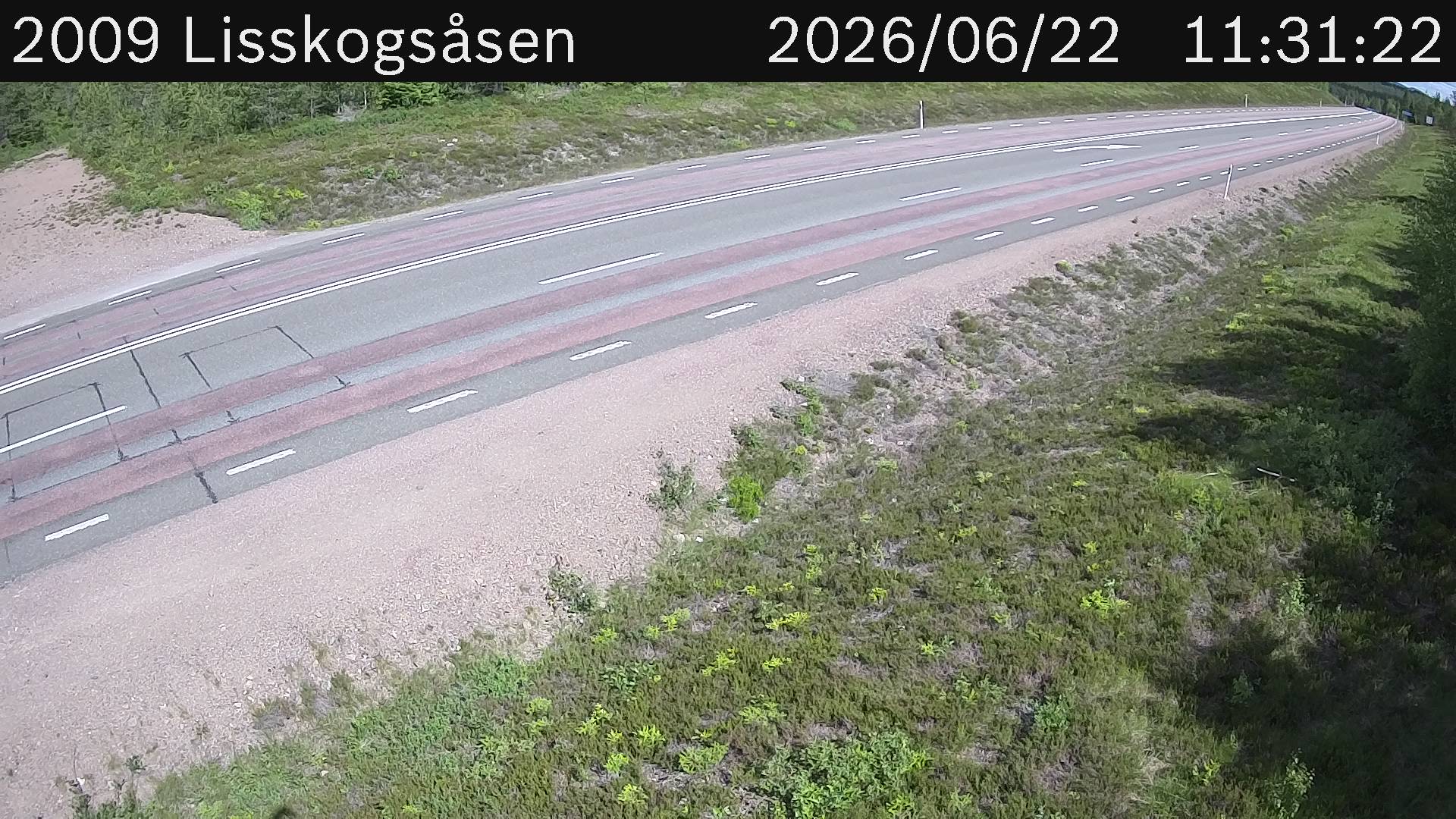 Lisskogsasen