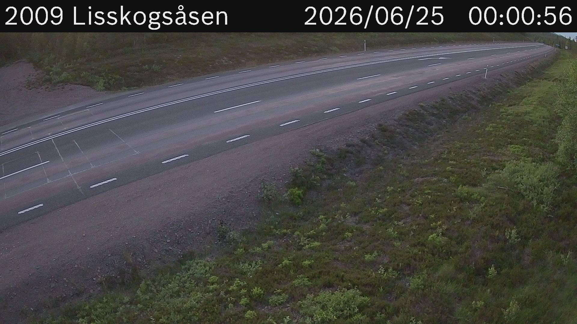 Lisskogsasen