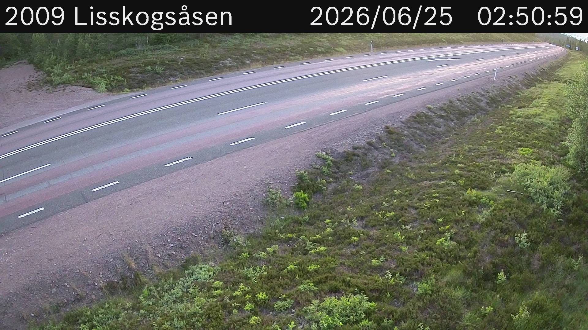 Lisskogsasen