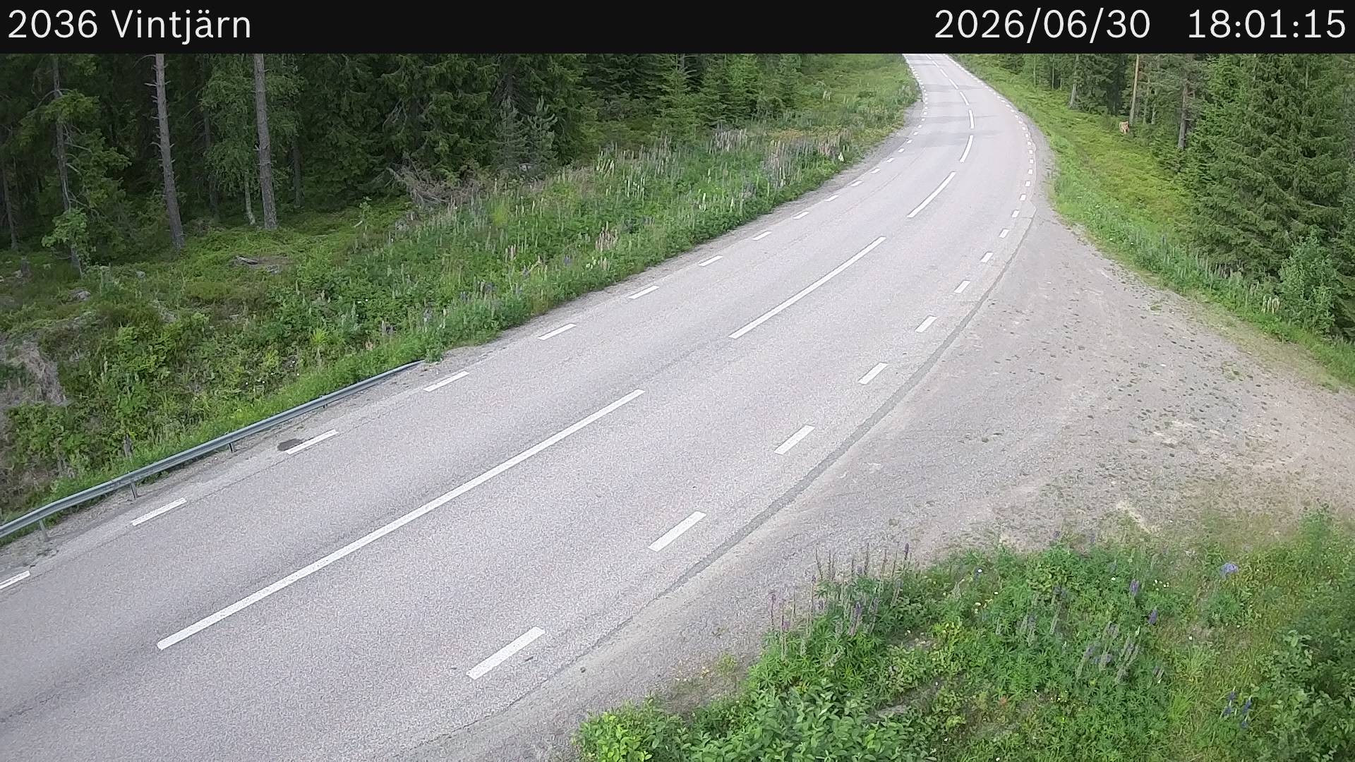 Vintjärn