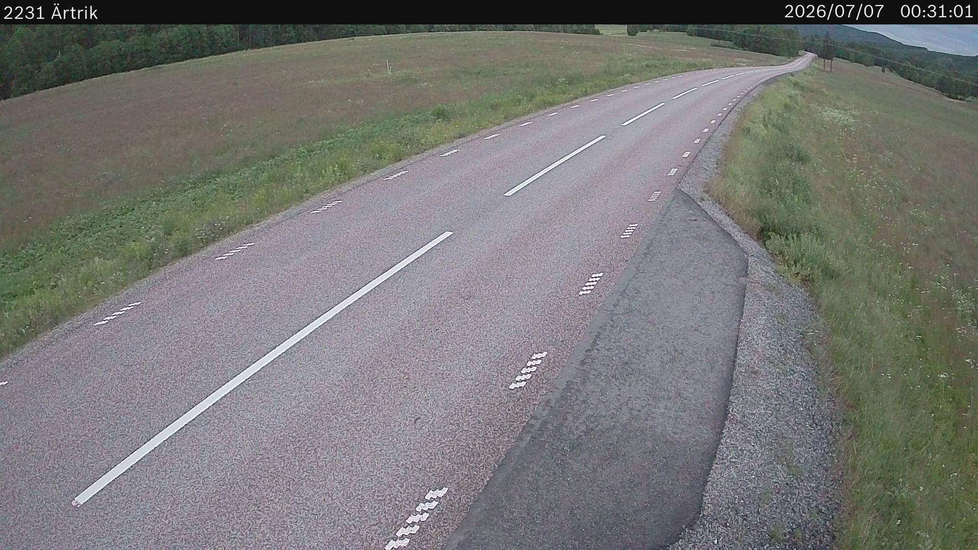 Ärtrik