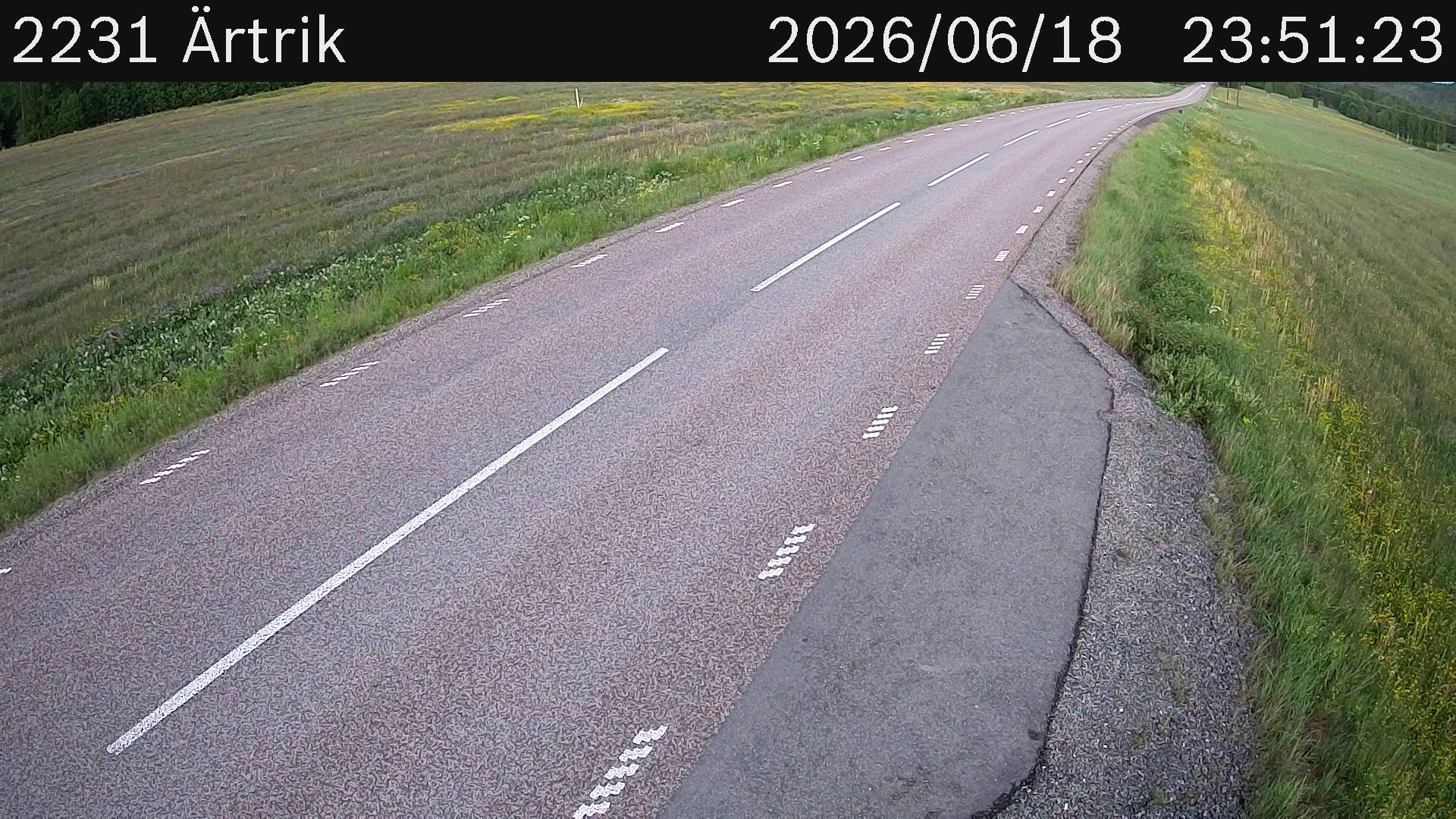 Ärtrik
